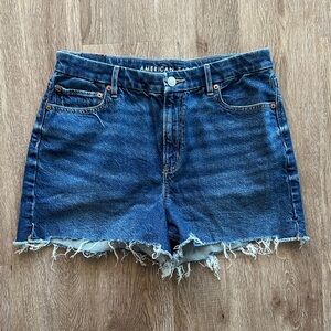 American Eagle Strigid Curvy Relaxed Raw Hem Dark Wash Denim Shorts Size 10